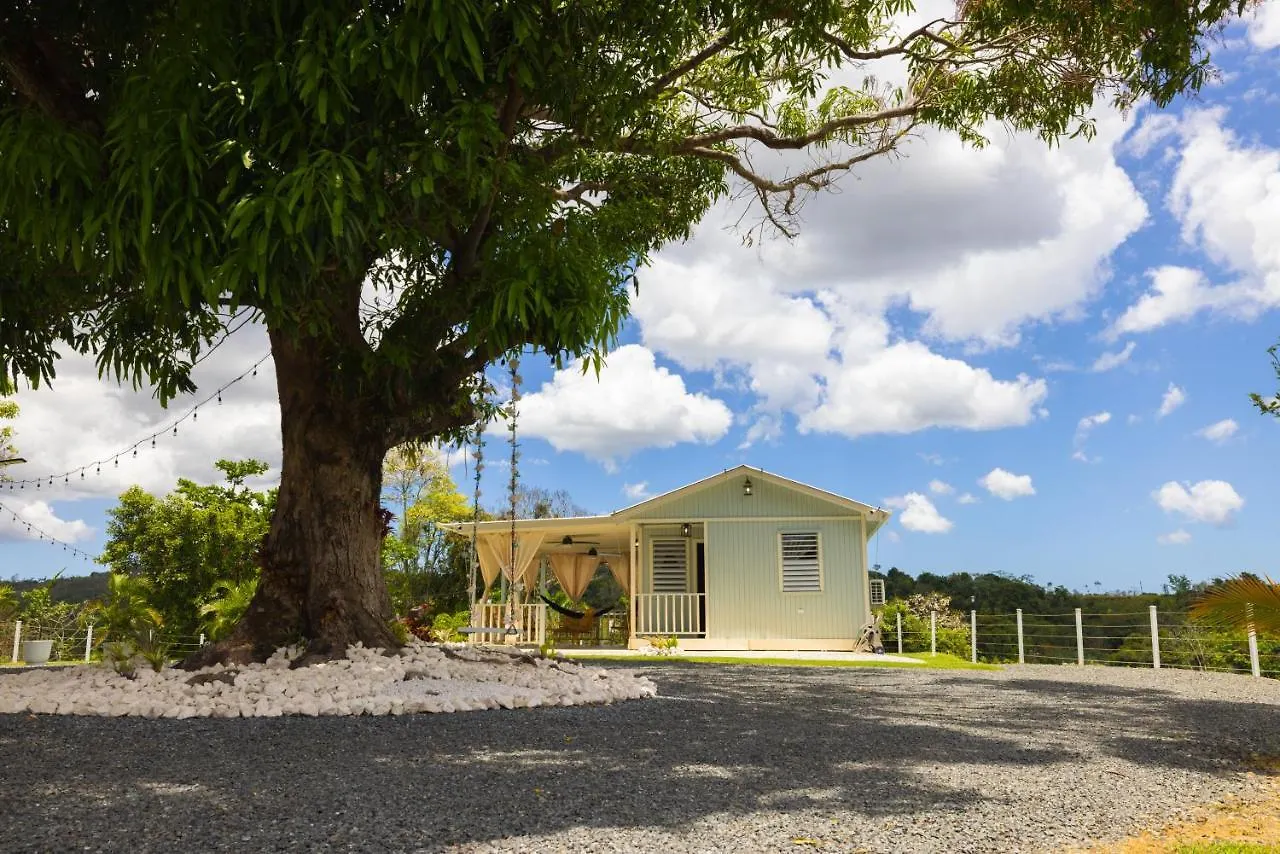 Bello Amanecer Guest House With Private Pool Anasco Semesterbostad