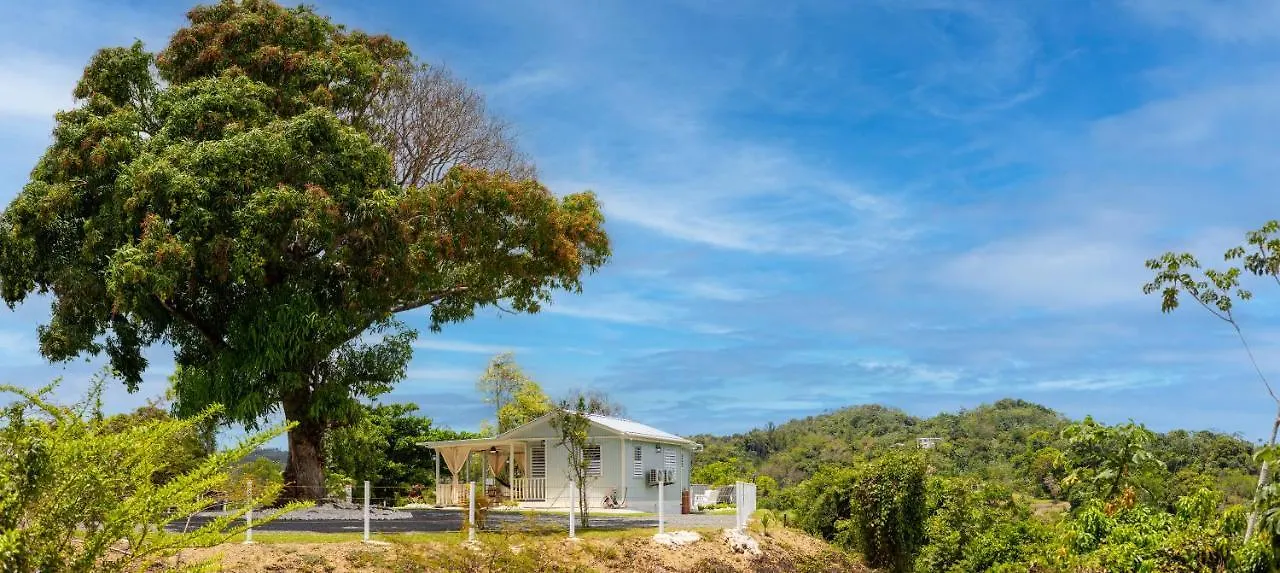 Semesterbostad Bello Amanecer Guest House With Private Pool Anasco