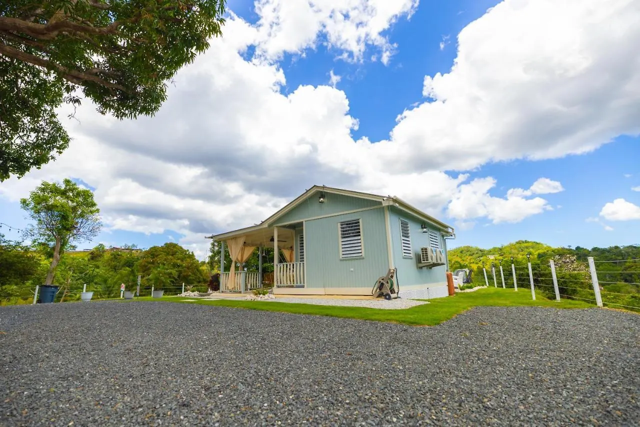 Bello Amanecer Guest House With Private Pool Anasco Puerto Rico